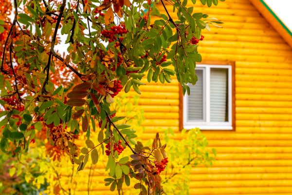 Garden Window Replacement in Chardon